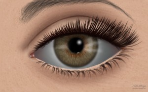 EYE